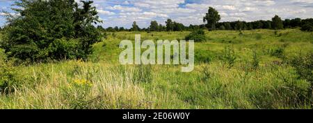 Sommer Blick auf Barnack Hills N Holes Naturschutzgebiet, Barnack Dorf, Cambridgeshire, England, Großbritannien Stockfoto