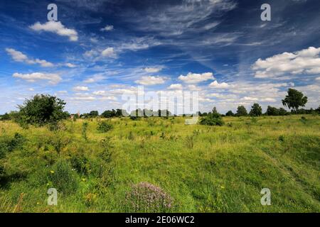 Sommer Blick auf Barnack Hills N Holes Naturschutzgebiet, Barnack Dorf, Cambridgeshire, England, Großbritannien Stockfoto