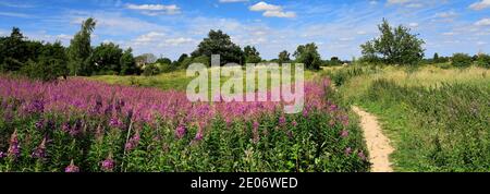 Sommer Blick auf Barnack Hills N Holes Naturschutzgebiet, Barnack Dorf, Cambridgeshire, England, Großbritannien Stockfoto