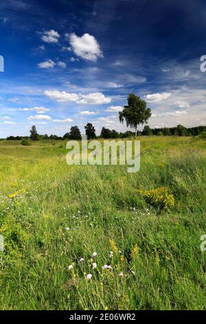 Sommer Blick auf Barnack Hills N Holes Naturschutzgebiet, Barnack Dorf, Cambridgeshire, England, Großbritannien Stockfoto