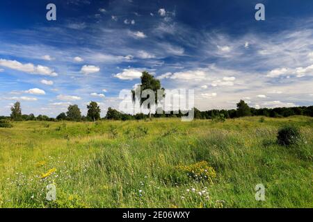 Sommer Blick auf Barnack Hills N Holes Naturschutzgebiet, Barnack Dorf, Cambridgeshire, England, Großbritannien Stockfoto