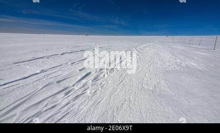 Panoramablick auf schöne Winterlandschaft im Norden von Böhmen mit Langlaufloipen und blauem Himmel im Hintergrund, Stockfoto