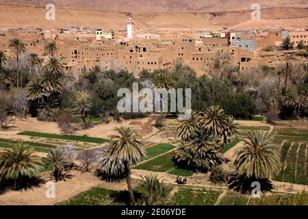 Haut Atlas, Marokko. Februar 2020. Grüne Gärten vor einem Dorf im Dadès-Tal am 23. Februar 2020 in Haut Atlas, Marokko. Stockfoto