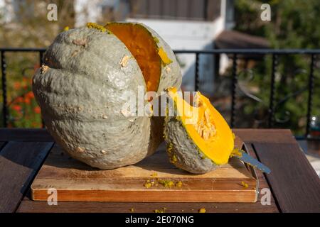 Ein riesiger Kürbis auf einem Balkon liegt auf einem Holzbrett. Eine einzelne hellorange Scheibe wurde ausgeschnitten und steht vor dem Gemüse. Sonnenlicht Stockfoto