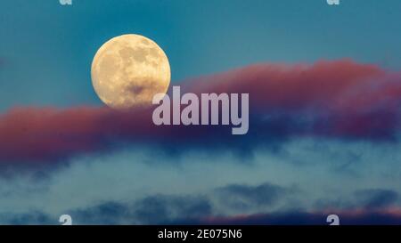 Vollmond, der über rosa Wolken in blauem Himmel aufsteigt Stockfoto