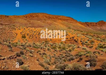 Wüstenlandschaft rund um den Warner Valley Dinosaur Track Site in der Nähe von St. George, Utah, USA Stockfoto