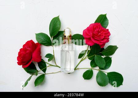 Ätherisches Öl in Glasflasche mit frischen roten Rosen auf weißem Hintergrund, Schönheitsbehandlung. Spa-Konzept. Stockfoto