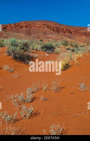 Wüstenlandschaft rund um den Warner Valley Dinosaur Track Site in der Nähe von St. George, Utah, USA Stockfoto