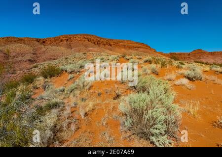 Wüstenlandschaft rund um den Warner Valley Dinosaur Track Site in der Nähe von St. George, Utah, USA Stockfoto