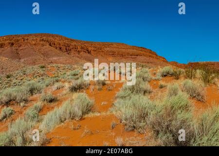 Wüstenlandschaft rund um den Warner Valley Dinosaur Track Site in der Nähe von St. George, Utah, USA Stockfoto