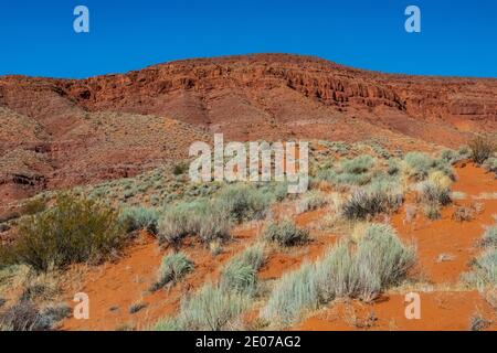 Wüstenlandschaft rund um den Warner Valley Dinosaur Track Site in der Nähe von St. George, Utah, USA Stockfoto