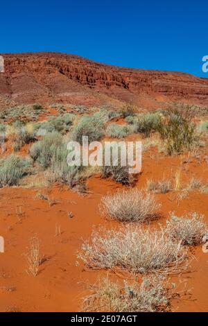 Wüstenlandschaft rund um den Warner Valley Dinosaur Track Site in der Nähe von St. George, Utah, USA Stockfoto