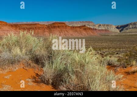 Wüstenlandschaft rund um den Warner Valley Dinosaur Track Site in der Nähe von St. George, Utah, USA Stockfoto