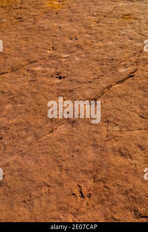 Megapnosaurus Track auf der BLM Warner Valley Dinosaur Track Site in der Nähe von St. George, Utah, USA Stockfoto