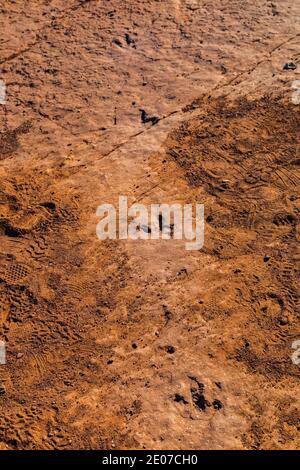 Megapnosaurus Track auf der BLM Warner Valley Dinosaur Track Site in der Nähe von St. George, Utah, USA Stockfoto