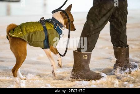 Chicago, USA. Dezember 2020. Ein Fußgänger läuft einen Hund während eines Wintersturms in der Innenstadt von Chicago, den Vereinigten Staaten, am 29. Dezember 2020. Morgen Pendler in Chicago erlebt eisige Straßen und langsamen Verkehr am Mittwoch als der erste große Wintersturm traf die Stadt. Der Schnee begann Chicago am Dienstagnachmittag zu bedecken und endete am frühen Mittwoch, mit anhaltendem Nieselregen bis 10 Uhr mittags. Quelle: Joel Lerner/Xinhua/Alamy Live News Stockfoto