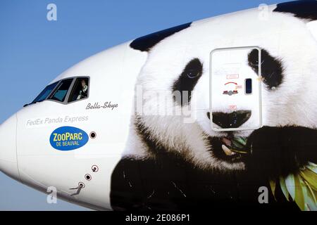 Das Flugzeug mit den beiden chinesischen Pandas kommt am 15. januar 2012 am Flughafen Paris Roissy in Paris an. Die Tiere verließen ihr Brutzentrum im Südwesten Chinas für einen 10-jährigen Aufenthalt in Frankreich, in einem Darlehen, das nach Jahren von Verhandlungen auf höchster Ebene besiegelt wurde. Huan Huan ('glücklich') und Yuan Zi ('mollig') sollen zum Zoo Beauval gehen, im mittleren Westen Frankreichs. Foto von Stephane Lemouton/ABACAPRESS.COM Stockfoto