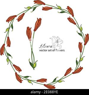 Set von Blumenkränzen aus den Blütenknospen der Lilie. Orange Lilie Stock Vektor