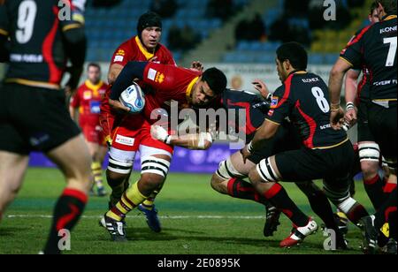 USA Romain Taofifenua von Perpignan während des European Amlin Challenge Cup Rugby-Spiels, USAP gegen Newport Gwent Dragons im Aime Giral-Stadion in Perpignan, Südfrankreich am 14. Januar 20121. USAP gewann 15 - 12. Foto von Michel Clementz/ABACAPRESS.COM Stockfoto