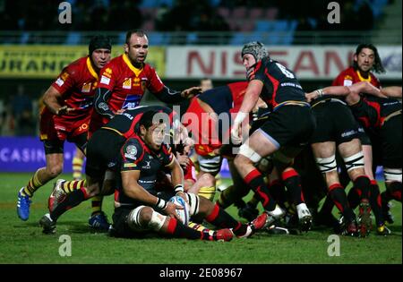 Newport Gwent Dragon's Toby Faletau während des European Amlin Challenge Cup Rugby-Spiels, USAP gegen Newport Gwent Dragons im Aime Giral Stadion in Perpignan, Südfrankreich am 14. Januar 20121. USAP gewann 15 - 12. Foto von Michel Clementz/ABACAPRESS.COM Stockfoto