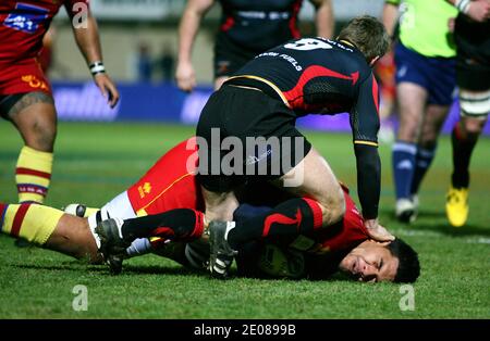 USA Romain Taofifenua von Perpignan während des European Amlin Challenge Cup Rugby-Spiels, USAP gegen Newport Gwent Dragons im Aime Giral-Stadion in Perpignan, Südfrankreich am 14. Januar 20121. USAP gewann 15 - 12. Foto von Michel Clementz/ABACAPRESS.COM Stockfoto