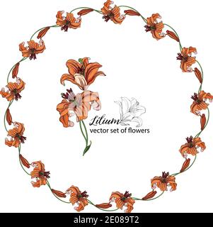 Set von Blumenkränzen aus den Blütenknospen der Lilie. Orange Lilie Stock Vektor