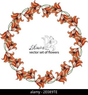 Set von Blumenkränzen aus den Blütenknospen der Lilie. Orange Lilie Stock Vektor