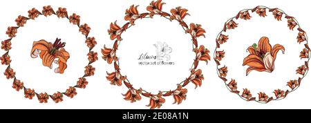 Set von Blumenkränzen aus den Blütenknospen der Lilie. Orange Lilie Stock Vektor