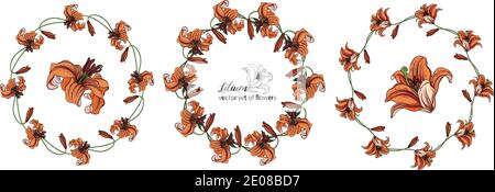 Set von Blumenkränzen aus den Blütenknospen der Lilie. Orange Lilie Stock Vektor