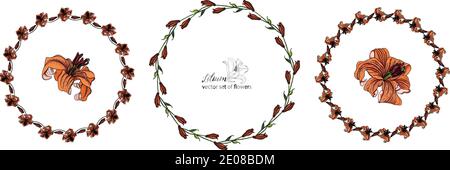 Set von Blumenkränzen aus den Blütenknospen der Lilie. Orange Lilie Stock Vektor