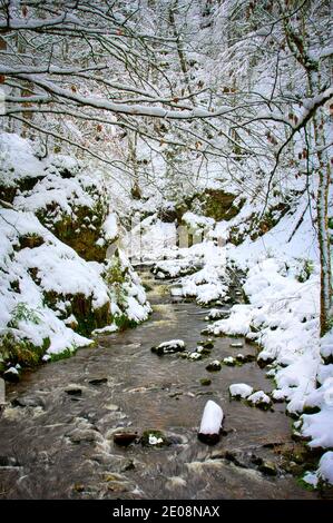 Ravennaschlucht Viadukt Winter Deutschland Stockfoto