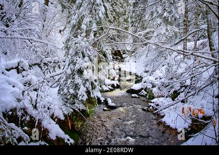 Ravennaschlucht Viadukt Winter Deutschland Stockfoto