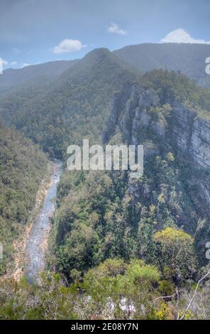 Alum Cliffs State Reserve in Tasmanien, Australien Stockfoto