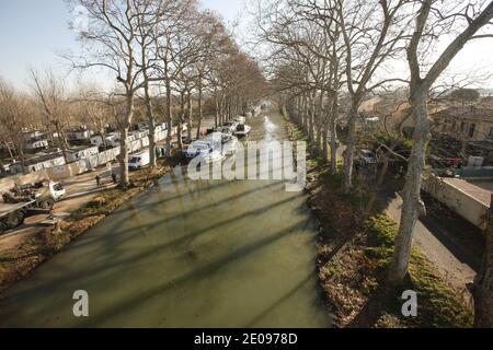 Frankreich,Hérault (34),Villeneuve-Les-Béziers.en 2012 le gouvernement français décide de faire abattre la totalité des 42000 platanes qui bordent le Canal du Midi. Site du patrimoine mondial de l'UNESCO, tous les arbres du Canal sont menacés par un champignon tueur, le chancre coloré.Depuis 2006 plus de 22 000 arbres malades ont été éliminés et brulés. Foto von Patrick Aventurier/ABACAPRESS.COM Stockfoto