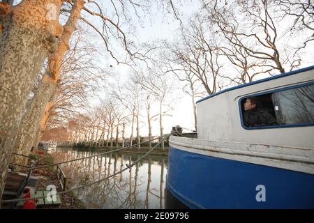 Frankreich,Hérault (34),Villeneuve-Les-Béziers.en 2012 le gouvernement français décide de faire abattre la totalité des 42000 platanes qui bordent le Canal du Midi. Site du patrimoine mondial de l'UNESCO, tous les arbres du Canal sont menacés par un champignon tueur, le chancre coloré.Depuis 2006 plus de 22 000 arbres malades ont été éliminés et brulés. Foto von Patrick Aventurier/ABACAPRESS.COM Stockfoto