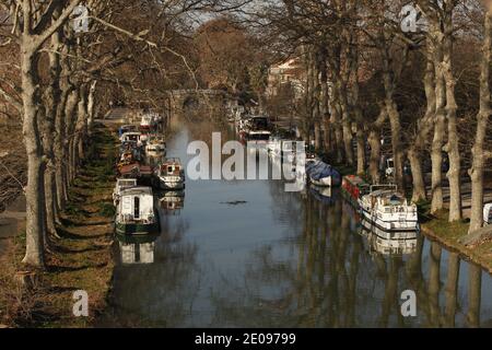 Frankreich,Hérault (34),Villeneuve-Les-Béziers.en 2012 le gouvernement français décide de faire abattre la totalité des 42000 platanes qui bordent le Canal du Midi. Site du patrimoine mondial de l'UNESCO, tous les arbres du Canal sont menacés par un champignon tueur, le chancre coloré.Depuis 2006 plus de 22 000 arbres malades ont été éliminés et brulés. Foto von Patrick Aventurier/ABACAPRESS.COM Stockfoto