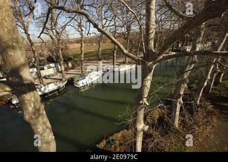 Frankreich,Hérault (34),Villeneuve-Les-Béziers.en 2012 le gouvernement français décide de faire abattre la totalité des 42000 platanes qui bordent le Canal du Midi. Site du patrimoine mondial de l'UNESCO, tous les arbres du Canal sont menacés par un champignon tueur, le chancre coloré.Depuis 2006 plus de 22 000 arbres malades ont été éliminés et brulés. Foto von Patrick Aventurier/ABACAPRESS.COM Stockfoto