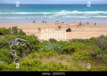 Ein 18 Meter langer Pottwal, der am Fairhaven Beach ausgewaschen wurde (Dezember 2020) Stockfoto