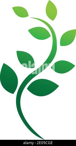 Logos der Grüne Baum Blatt ökologie Natur element Vektor Stock Vektor