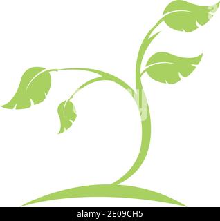 Logos der Grüne Baum Blatt ökologie Natur element Vektor Stock Vektor