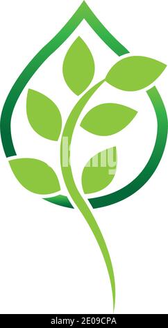 Logos der Grüne Baum Blatt ökologie Natur element Vektor Stock Vektor
