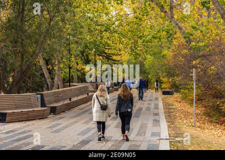 Im Herbst entspannen sich die Bürger im Prince's Island Park. Downtown Calgary. Ab, Kanada Stockfoto