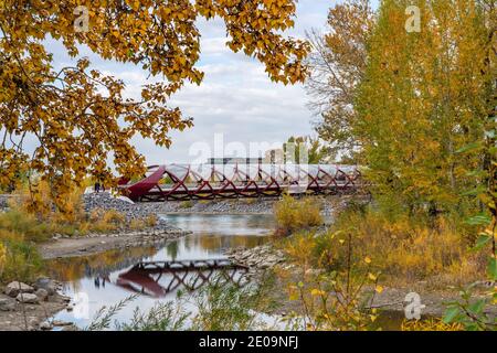 Prince's Island Park Friedensbrücke. Herbstlandschaft im Stadtzentrum von Calgary Bow River, Alberta, Kanada. Stockfoto