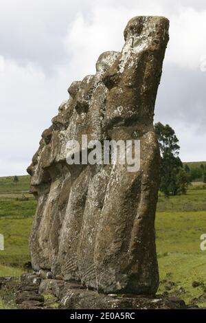 AHU Akivi Standort, nördlich von Hanga Roa gelegen, ist die Ahu Akivi die einzige Plattform, die MAOI Statuen sind mit Blick auf den Pazifik. Nach der Tradition repräsentieren sie die sieben Abgesandten in Anerkennung Hotu Matu'a, der der erste König der Insel wurde. So verschwand die Moai, gegenüber den Marquesas und der Insel Hiva oder sind aus dem Volk Rapa Nui, Osterinsel, Chile, 19. Juli 2007 entstanden.Site d'Ahu Akivi, situe au nord d'Hanga Roa, l'Ahu Akivi est la seule plate forme dont les Statues MAOI sont tournees vers le Pacifique. Selon la Tradition, elles representent les sep Stockfoto