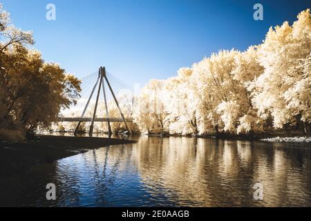 Die dritte Straßenbrücke in Columbus, IN Schuss in falsche Farbe Infrarotlicht aus dem niedrigen Kopf Damm auf dem weißen Fluss. Hoher Kontrast mit gelben Blättern Stockfoto