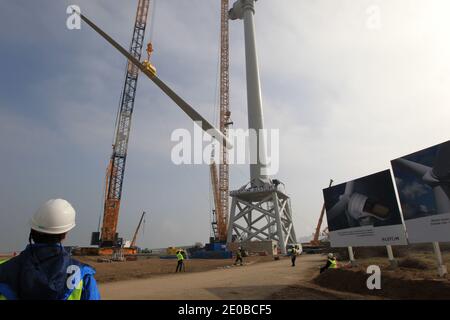 Am 16. März 2012 inspizieren Techniker die Rotorblätter einer „Haliade 150“-Windenergieanlage am Offshore-Windstandort von Alstom in Le Carnet an der Mündung der Loire in der Nähe von Saint Nazaire im Westen Frankreichs. Die LM Wind Power Group aus Dänemark entwickelte in einer strategischen Partnerschaft mit Alstom das längste jemals produzierte Windturbinenblatt, das für Alstoms neue 6-MW-Windkraftanlage für den wachsenden europäischen Offshore-Windmarkt entwickelt wurde. Die Windenergieanlage wird an Land am Standort Le Carnet getestet. Foto von Laetitia Notarianni/ABACAPRESS.COM Stockfoto