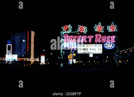 Das Desert Rose Motel Neonschild in Las Vegas, Nevada Stockfoto