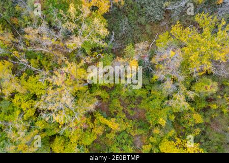 Middle Ground Wohnungen zwischen der Stadt Hudson und der Stadt Athen im Bundesstaat New York. Stockfoto