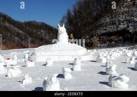 China. Dezember 2020. Henan, CHINA-Mitarbeiter des Skigebiets Funiu Mountain in Luanchuan, Provinz Henan, verbringen zwei Tage, um am 30. Dezember 2020 100 Schneekühe in verschiedenen Formen im Schnee zu bauen, um das Kommen des Jahres 2021 zu begrüßen.Sie hoffen, all das Unglück im Jahr 2020 mit weißem Schnee zu schmelzen und die 2020 zu verlassen, Das neue Jahr ist gekommen, ich glaube, dass alle guten Dinge irgendwann kommen werden.Sie nutzen diese besondere Art, um Segen für das kommende Jahr des Ochsen zu senden, in der Hoffnung, dass alle im neuen Jahr gesegnet werden. Quelle: SIPA Asia/ZUMA Wire/Alamy Live News Stockfoto