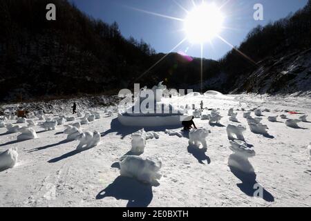 China. Dezember 2020. Henan, CHINA-Mitarbeiter des Skigebiets Funiu Mountain in Luanchuan, Provinz Henan, verbringen zwei Tage, um am 30. Dezember 2020 100 Schneekühe in verschiedenen Formen im Schnee zu bauen, um das Kommen des Jahres 2021 zu begrüßen.Sie hoffen, all das Unglück im Jahr 2020 mit weißem Schnee zu schmelzen und die 2020 zu verlassen, Das neue Jahr ist gekommen, ich glaube, dass alle guten Dinge irgendwann kommen werden.Sie nutzen diese besondere Art, um Segen für das kommende Jahr des Ochsen zu senden, in der Hoffnung, dass alle im neuen Jahr gesegnet werden. Quelle: SIPA Asia/ZUMA Wire/Alamy Live News Stockfoto